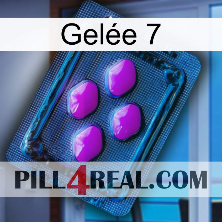Gelée 7 04